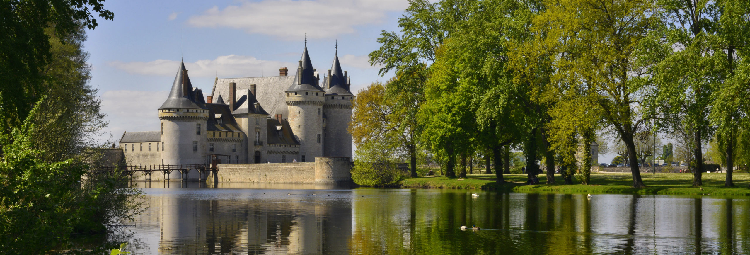 Bandeau Château de Sully-sur-loire (45600) narcissique, Loiret en Centre-Val-de-Loire, France